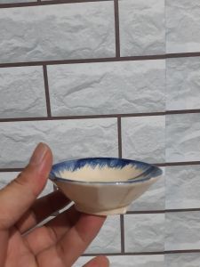chén bánh bèo cạn 30 chén ( chén bèo cạn lán)