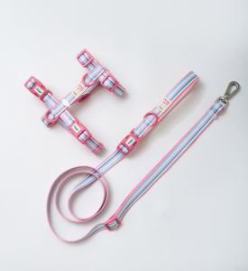 [พร้อมส่ง] DOGGU ชุดสายรัดอกพร้อมสายจูง H-Harness Set Cherish