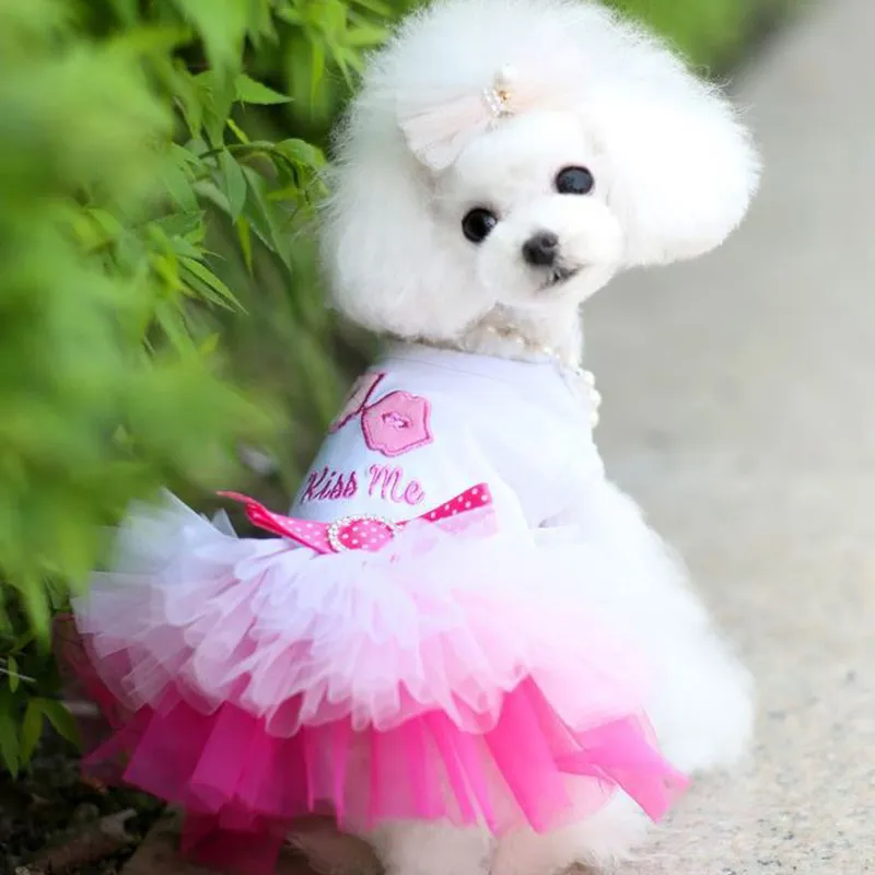 Váy cưới công chúa Quần áo cho chó Quần áo cho mèo Quần áo cho thú cưng Chó  cỡ trung và lớn Có nhiều kích cỡ để lựa chọn Váy váy cho