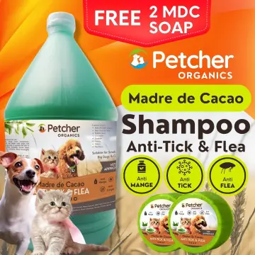 Buy Cat Lice Shampoo online Lazada .ph