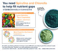 Powerlife Multi Greens 410mg 150s | Natural multivitamin & minerals / Suitable for hair loss problem / Imbalanced diet / Improve Anemic condition 改善贫血. 