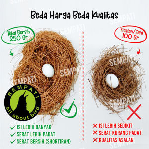 SEMPATI Serat Cemara Sarang Burung Tempat Telur Bertelur Susuh Glodok Lovebird Parkit Kenari Sarang Sugar Glider Hamster
