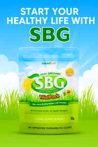 (100% Pure & Organic) Salveo Barley Grass Powder in TRIAL PACK 80grams 40servings X 2grams