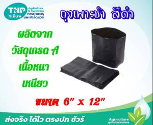 ถุงเพาะชำ ถุงปลูกกล้า ถุงดำ ขนาด 6 นิ้ว x 12 นิ้ว(60-65ใบ/1กิโลกรัม)