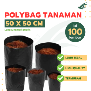 100 Pcs/Lembar Polybag 50x50 TEBAL TAHAN LAMA Polibek Ukuran 50 isi 100 isi 50 pcs