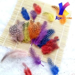 Bulu polkadot bulu owl warna warni hias karnaval 10pcs berbagai macam warna