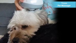 Tilcare HandheldMassager for Dogs and Cats Electric Cat and Dog Massage Tool - Head and Back Scratcher for Relieving Tension Tight Muscles and Stiffness with Four Rotating Massage Heads