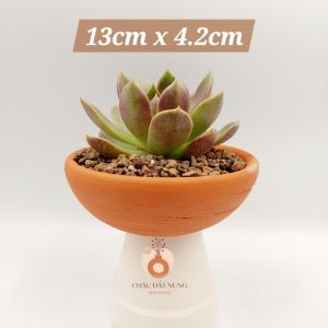 Chậu đất nung chậu sen đá - Chảo 134202 miệng chậu 13cm chiều cao 4.2cm