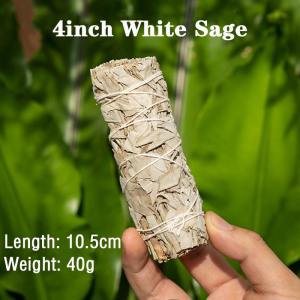White Sage Smudge Stick Sustainably Harvested (Natural Incense Organic Aromatherapy Californian)