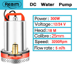 REAIM submersible pump Deep Well Water Pump 12V DC Water Pump 1inch Outlet for Agricultural Irrigation Swimming Pool Pond Flood Drain
