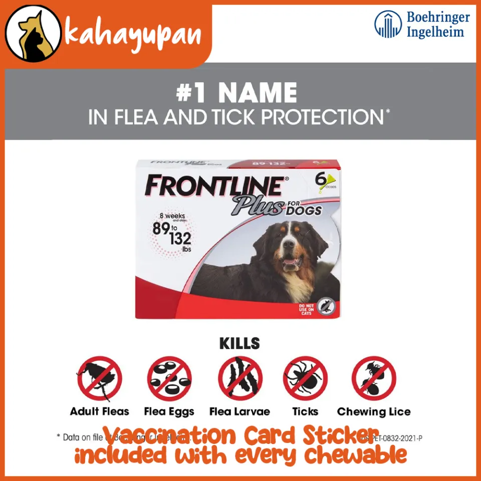 Frontline Flea Medicine For Week Old Puppy Frontline Plus For Dogs