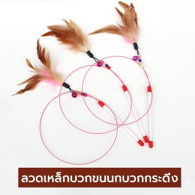 ไม้ตกแมว ยาวสุด แบบสปริง ลวดสลิง ไม้ล่อแมว