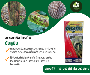 ซันลูบิน (อะซอกซีสโตรบิน) เป็นสารดูดซึมและแทรกซึมเข้าต้นพืชได้รวดเร็ว ใช้ป้องกันกําจัดโรคพืช เช่น โรคแอนแทรคโนส โรคใบจุดตากบ โรคใบจุดสีม่วง