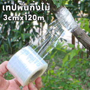 【Lifefree】พร้อมส่ง เทปยืดพันกิ่ง ฟิล์มพันกิ่ง หน้ากว้าง  ต่อกิ่ง เทปยืดได้อีกเท่าตัว เหนียว ไม่มีกาว สำหรับตอนกิ่ง ติดตา