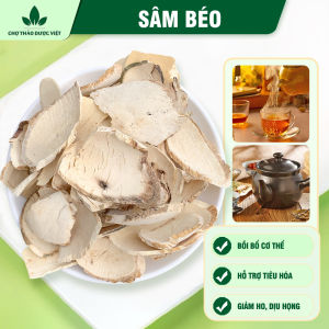 Sâm béo khô 100g trà sâm béo rừng trắng thái lát thơm sạch dùng pha trà - Chợ Thảo Dược Việt