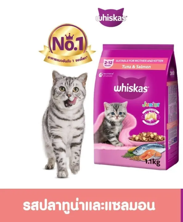 อาหารแมวแบบแห้ง ใหม่!! Whiskas วิสกัส อาหารแมวชนิดเม็ด ลูกแมว จูเนียร์ รสทูน่าและแซลมอน 450ก.
