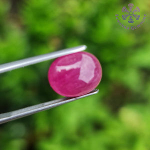 พลอยทับทิม แท้ 7.05 ct. สีแดงชมพู รูปร่างไข่หลังเบี้ย พลอยมีลักษณะเนื้อเนียน ทั่วทั้งเม็ด เหมาะนำไปเครื่องประดับ การันตีพลอยแท้ เผาใหม่