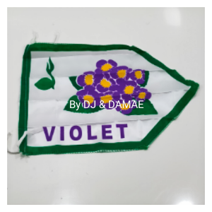 BENDERA REGU PRAMUKA PUTRI