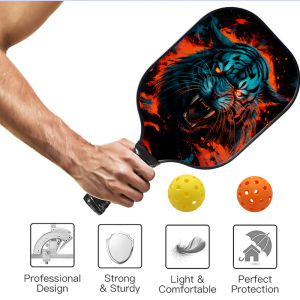 Pickleball Paddles Set of 1 Lightweight & Durable Racket with 2 Pickle Balls ID 6068-235456949