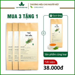 Trà ích mẫu túi lọc (Giảm đau bụng kinh cân bằng nội tiết tố nữ) - Chợ Thảo Dược Việt