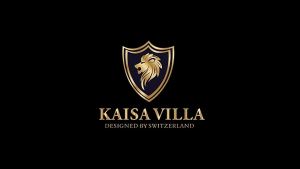 Kaisa Villa stainless steel casserole soup pot/stew soup pots/milk pot induction cooker