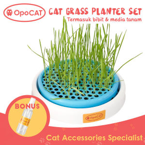 Opo Cat Cat Grass Planter Tempat tanam Rumput Kucing