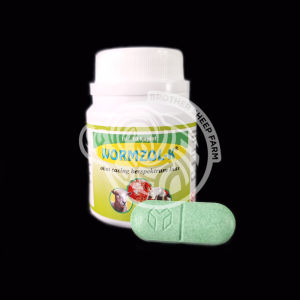 Wormzol K obat cacing domba kambing