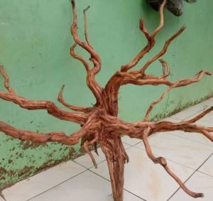 Akar rasamala size XL aquascape aquarium