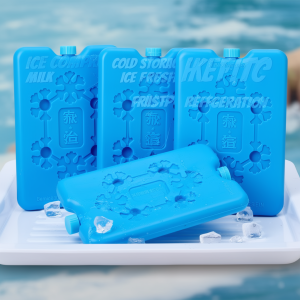Ice Pack Cooler Block Reusable Cold Pack Water Fill HDPE Leak Resistant Lunch Bag Breast Milk Travel Sulit Matibay