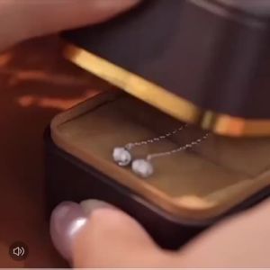 1 Pair Tassel Silver Ruyi Knot Tassel Ear Line for Girl Short Niche Design Simple Stud Earrings Gift