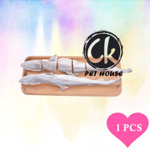 Freeze Dried Baby Shark Fish Pure Real Meat Dental Chew Dog Cat Pet Snack Treats 25cm-30cm (1PCS) 冻干小鲨鱼