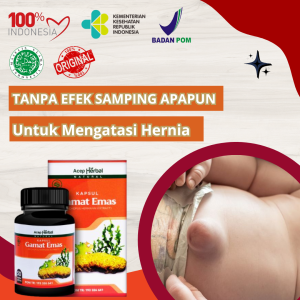 Obat Hernia Turun Berok Hernia Pria Dewasa Hernia Anak Hernia Untuk Bayi Penghilang Benjolan Hernia Usus Turun Peranakan Buah Zakar Besar Sebelah - Kapsul Gamat Emas