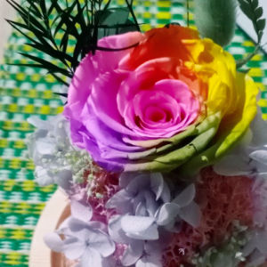 Seangel Valentines Day gift Preserved Fresh Flower Dried flower Beauty and The Beast Fresh Red Eternal Roses In A Glass Dome For Womens Day Christmas Girlfriend gifts Home Decor Ornaments