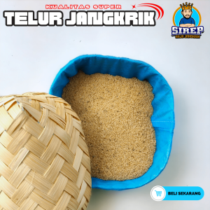 telur jangkrik alam sliring kemasan 1000 gram kualitas super fresh tanpa di tandon untuk ternak jangkrik siap kirim