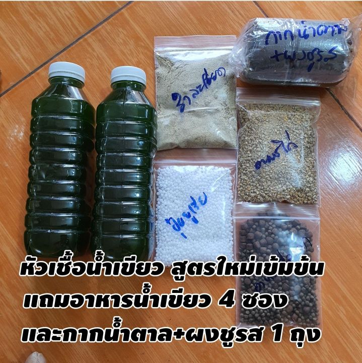 หัวเชื้อน้ำเขียวไรแดง สูตรเข้มข้น 100% บรรจุขวดละ 600 มล.x 2 รวม 1,200 ...