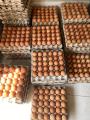 TELUR AYAM NEGERI 1KG KHUSUS PENGIRIMAN AREA JAWA TIMUR BACA DISKRIPSI PRODUK. 