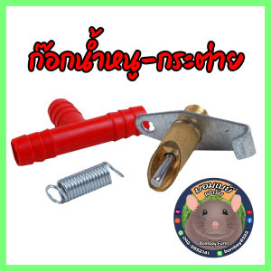 จุกน้ําหนู กระต่าย ทองเหลืองปากตัด จํานวน10 ชุด