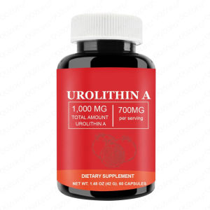 SG Urolithin A 60 Capsules | Mitochondrial & Cellular Health Support | Daily Energy Wellness Supplement