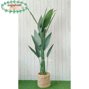Pohon Artificial Pohon Hias Daun Pisang Heliconia T150 Latex Pot Dasar Hitam Cover Eceng Gondok Hiasan Sudut Ruang