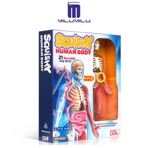 ร่างกายมนุษย์ Squishy: 1 Misc. จัดหาโดยของเล่น SmartLab ของหนังสือภาษาอังกฤษของแท้