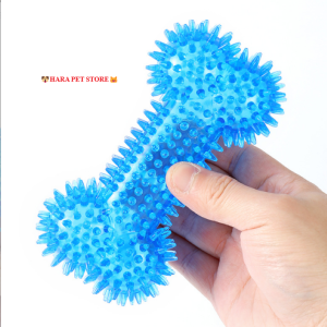 Đồ chơi cho Chó gặm sạch răng hình khúc xương bằng nhựa có kèn kêu (mẫu mới) - Hara Pet Store