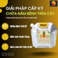 Đặc Trị Nấm Cây Trồng 100% Hữu Cơ Chiết Xuất Từ Gừng, Thơm & Vitamin B1 | SunLeaf. 