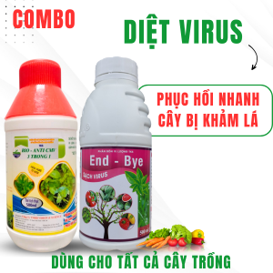 Combo Trừ  ViRus Khảm Lá Xoắn Lá Chùn Ngọn Sượng Trái Cho Tất Cả Cây Trồng