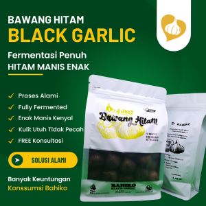 Bawang Hitam Lanang Bahiko Solo Black Garlic Tunggal Fermentasi Matang Kering Tidak Benyek Daging Hitam Manis