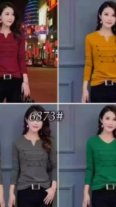 Korean Fashion Long Sleeved Blouse #6873