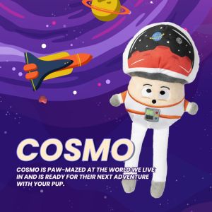 FuzzYard Fun Guys Dog Pet Toys with Spiker Ball Squeaker & Crinkle Paper | 4 Chic Mushroom Designs