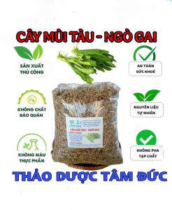 1kg cây ngò gai - mùi tàu sấy khô