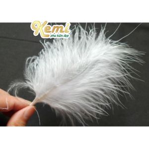 Gói 10 lông vũ gà tây màu trắng tự nhiên 10-15cm dùng để trang trí quần áo kẹp tóc handmade decor nhà cửa