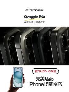Pinsheng Shuang typec Data Cable CTOC Suitable for 15 Huawei phone 100w/60W Charging cable