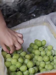 高精度手提电子秤家用弹簧小型便携式迷你称鱼器手拿小巧吊勾小称